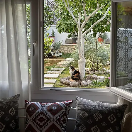Appartement Νόστος Στο Κέντρο Των Ιωαννίνων à Ioannina Extérieur photo